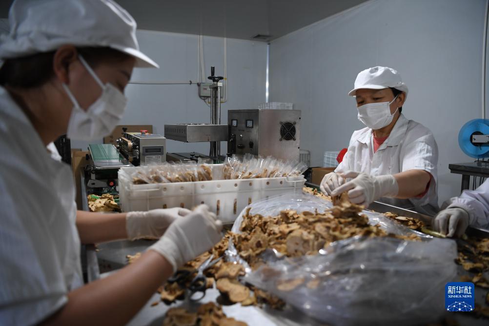 十点半必赢技巧